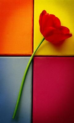 Nota Pentru Poza - ♡→�ħ���ℓ�έ ħ��→♡ - Jocuri